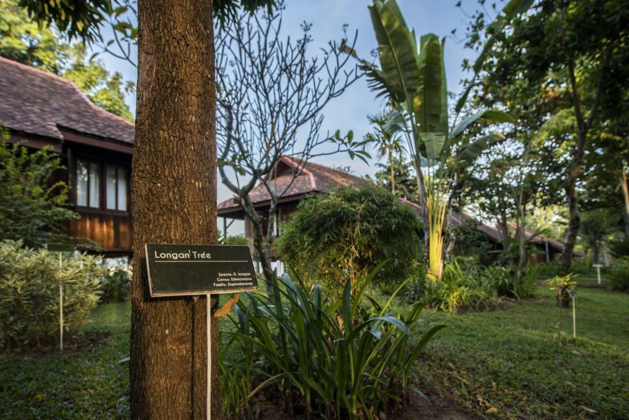 La Folie Lodge Champasak Ngoại thất bức ảnh